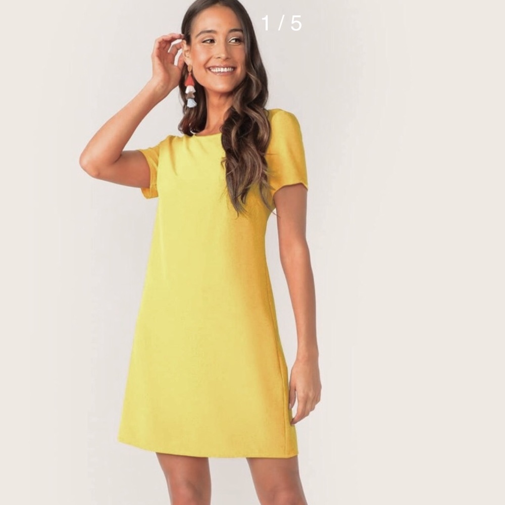 Zara short sleeve dress